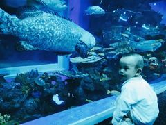 -成都浩海立方海洋公园