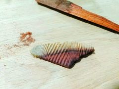 -五月木作·DIY木作文创体验店(北京路店)