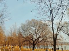 -棋盘山风景区