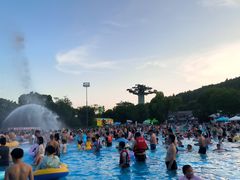 -苏州乐园森林水世界