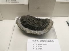 -天津自然博物馆