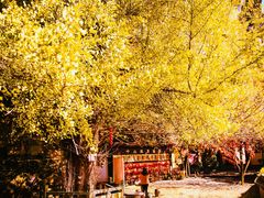 -大慈岩风景区