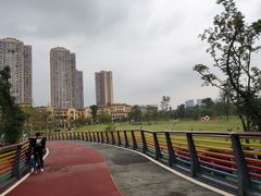 -府河摄影公园
