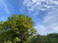 -野鸭湖国家湿地公园