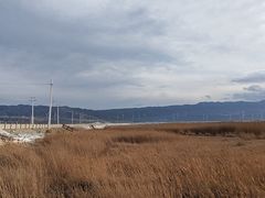 -盐湖景区