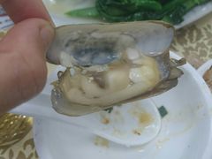 盐焗圣子-红海湾豪记海鲜大排档