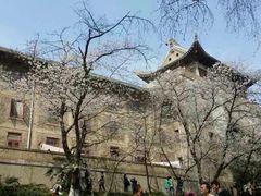 -武汉大学-樱园