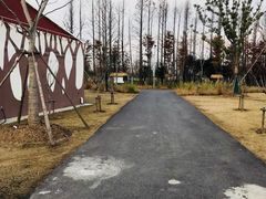 -上海长兴岛郊野公园