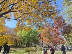 -国家植物园南园