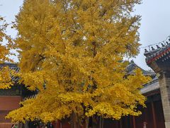 -承恩寺
