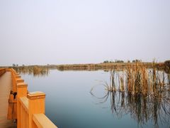-白洋淀风景区