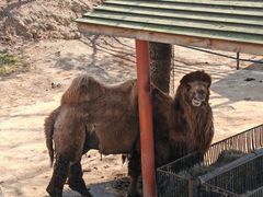 -大连森林动物园