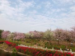 -广州莲花山旅游区