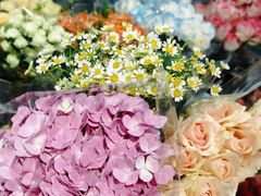 -盒马鲜生(岭南新世界店)