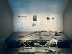 -自贡恐龙博物馆
