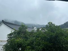 -礼耕堂·百年茶人餐厅(梅家坞店)