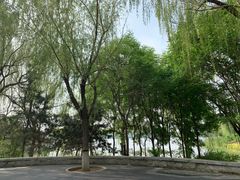 -大兴滨河森林公园