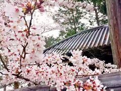 -奈良公园