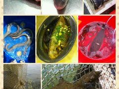 -八仔大富楼·河鲜(西江店)