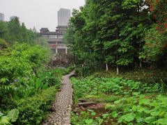 -重庆彩云湖湿地公园