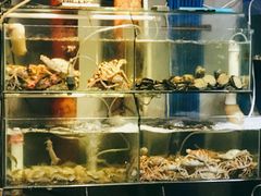 水产区-美味海鲜大排档(明发美食地标店)