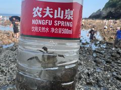 -大连金石滩绿发温泉假日酒店