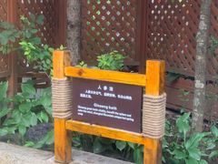 -汉拿山温泉度假酒店