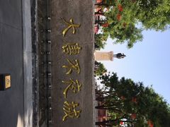 -大唐不夜城-开元广场