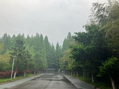 -日照海滨国家森林公园