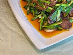 铁板回锅牛肉-圣厨牛腩(青春岛社区玉寿苑店)