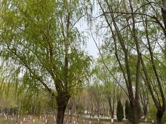 -大兴滨河森林公园