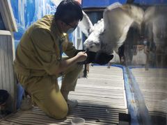 -成都浩海立方海洋公园