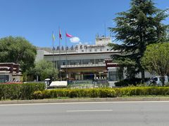 -西藏自治区图书馆