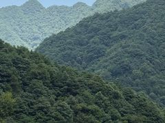 -千岛湖石林