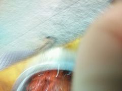 android_upload_pic-大孩龙虾(体育场旗舰店)