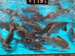 -艳阳天·非遗楚菜(武汉客厅店)