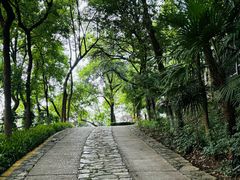-北极阁公园