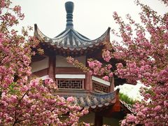 -洛阳市隋唐城遗址植物园