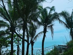 -三亚西岛海洋文化旅游区