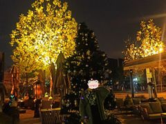 -纽扣NEWKO