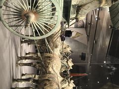 -秦始皇帝陵博物院-丽山园