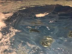 -水晶之星洗浴温泉汗蒸