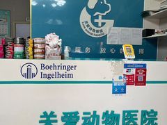 -关爱动物医院·心脏·中兽医·异宠(金牛路分院)