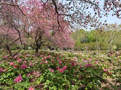 -洛阳市隋唐城遗址植物园