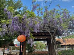 -大理洱源西湖景区