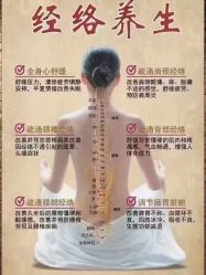 -香薇妮丝女子减肥院