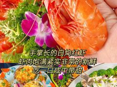 -小海豚•老字号海鲜餐厅(天涯店)