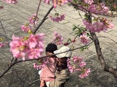 -乌山风景区