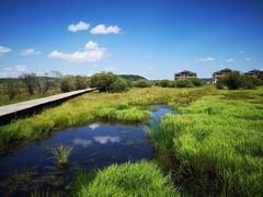 -塞罕坝国家级自然保护区