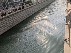 -大郎桥瑞陆糖粥(小太平巷店)